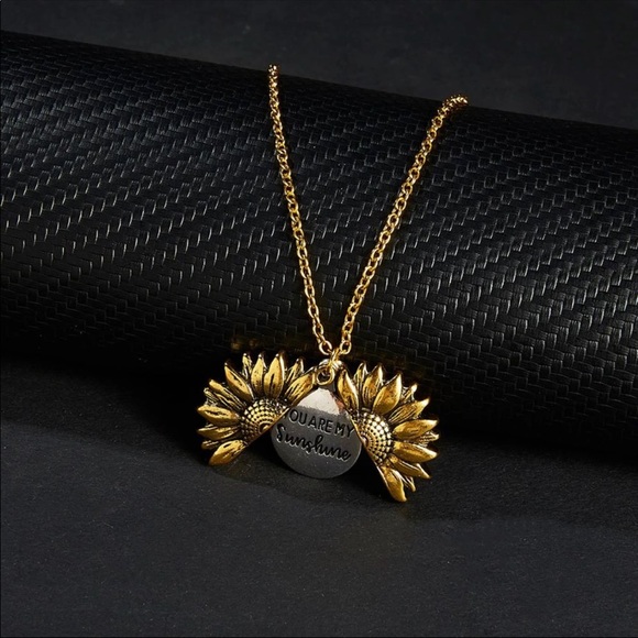 Gold You Are My Sunshine Open Locket Necklace - Picture 6 of 8